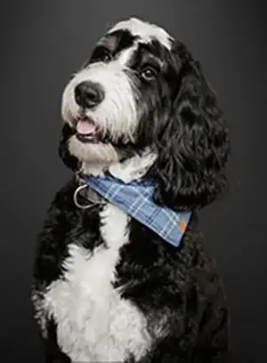Dixxon McPherson Headshot