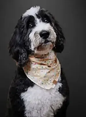 Oakley McPherson Headshot