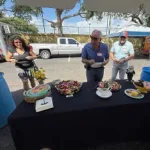 Img_Shred5